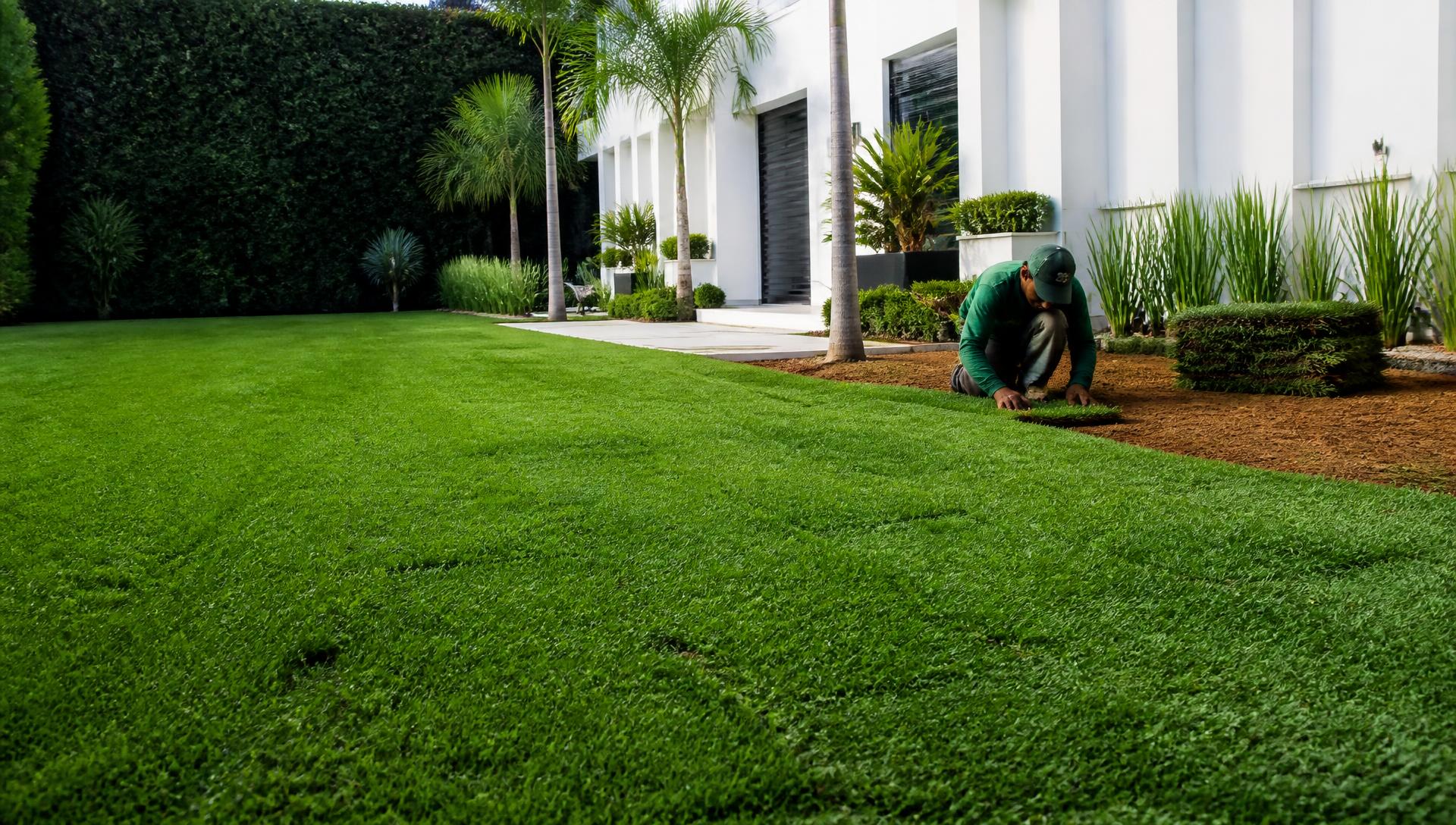 Profissional realizando o plantio de grama em um jardim