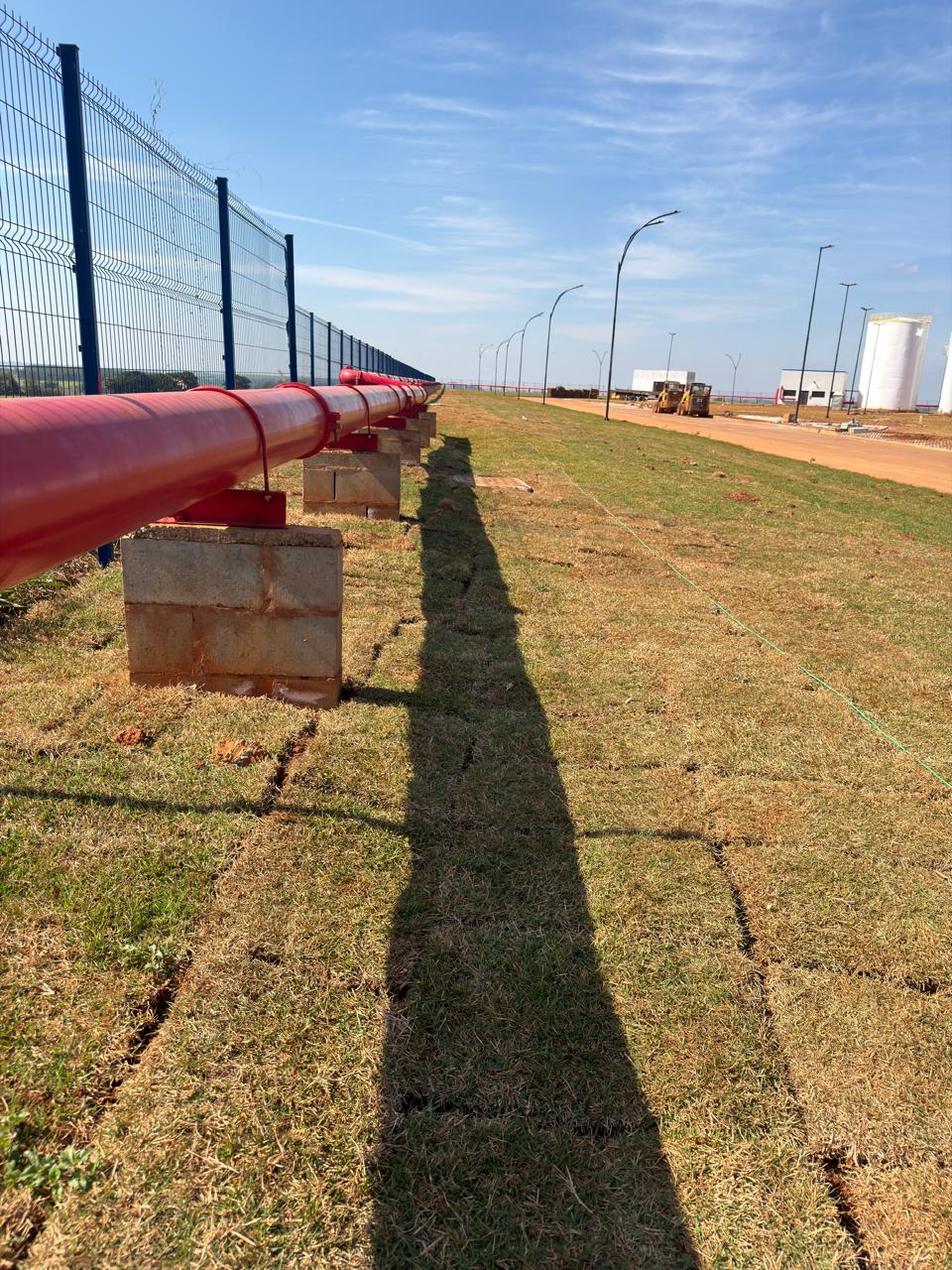 Grama plantada em grande área industrial